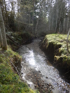 Stream right by our Historic Inn...almost Springtime!