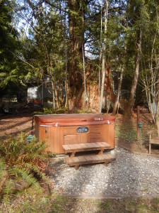 Come and enjoy the Hottub, in a beautiful, park-like setting!